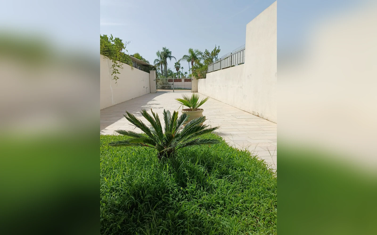 Villa Diletta, il parcheggio esclusivo della villa