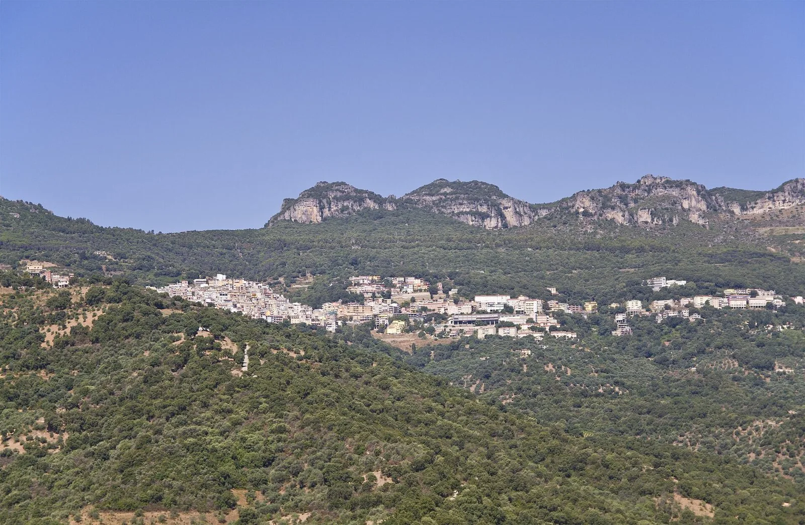 Il paese di Jerzu adagiato sul versante, circondato dai vigneti dell'Ogliastra
